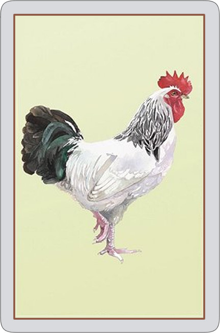 Light Sussex Cockerel single playing card deck