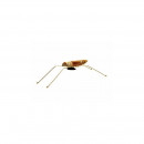 Tin toy grasshopper